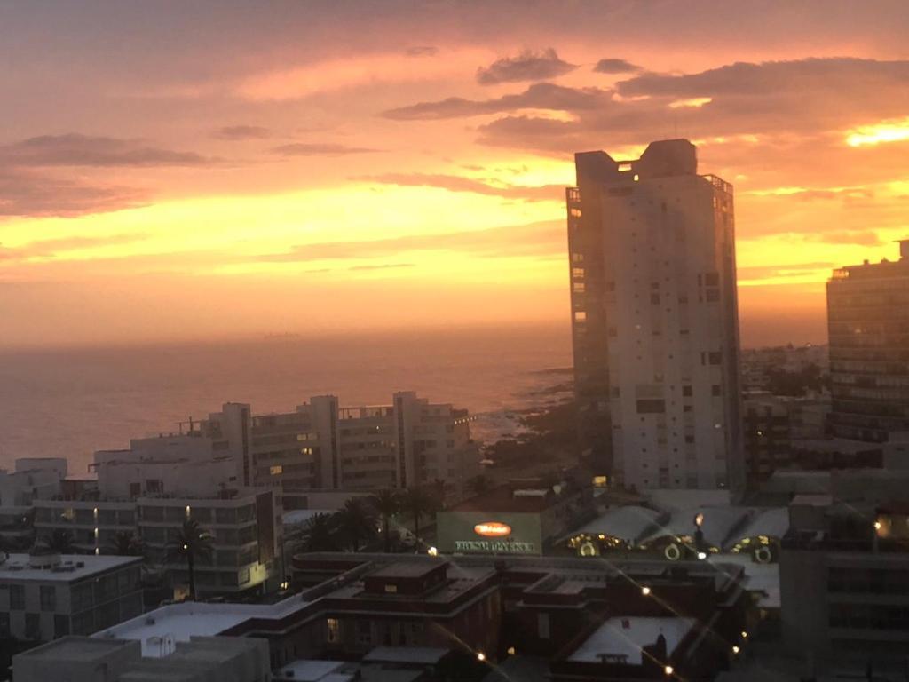 Bahia Palace, Best View And Location! Punta del Este Dış mekan fotoğraf